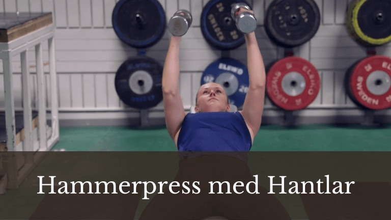 Kvinna utför hammerpress med hantlar på träningsbänk